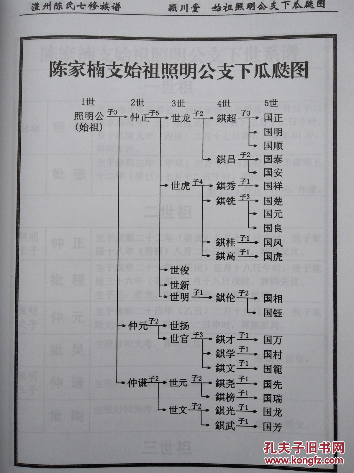 陈氏族谱----陈家楠(照明公)支 (澧县张公庙镇黄河村)