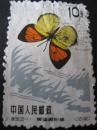 特56蝴蝶20—11邮票 信销票