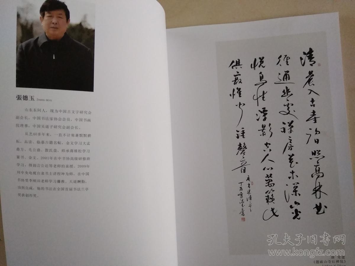 张德玉书法集