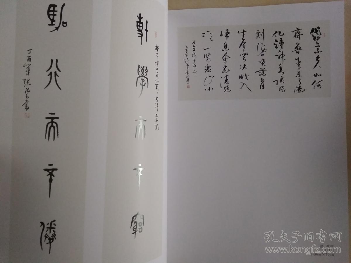 张德玉书法集