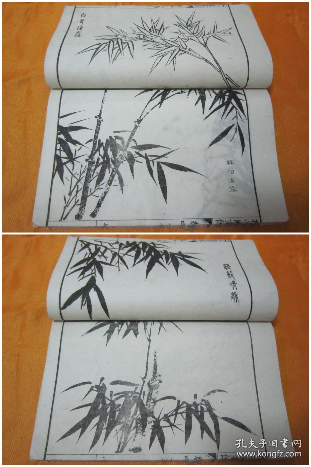 清末民初白纸线装精石印画谱《芥子园画传二集-青在堂竹谱,32开白纸