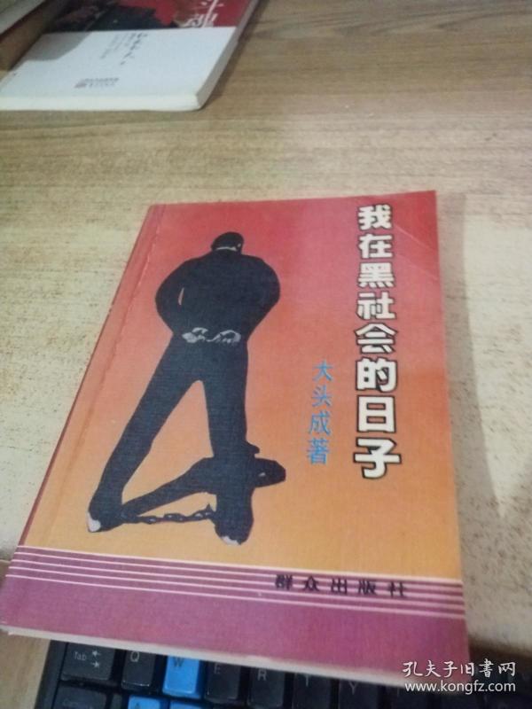 我在黑社会的日子