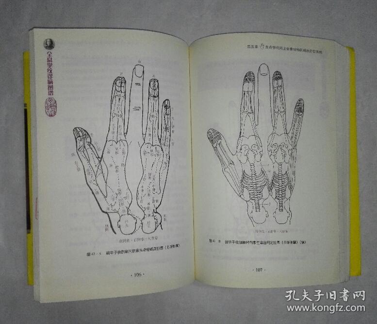 全息掌纹诊病图谱(第三版) a8