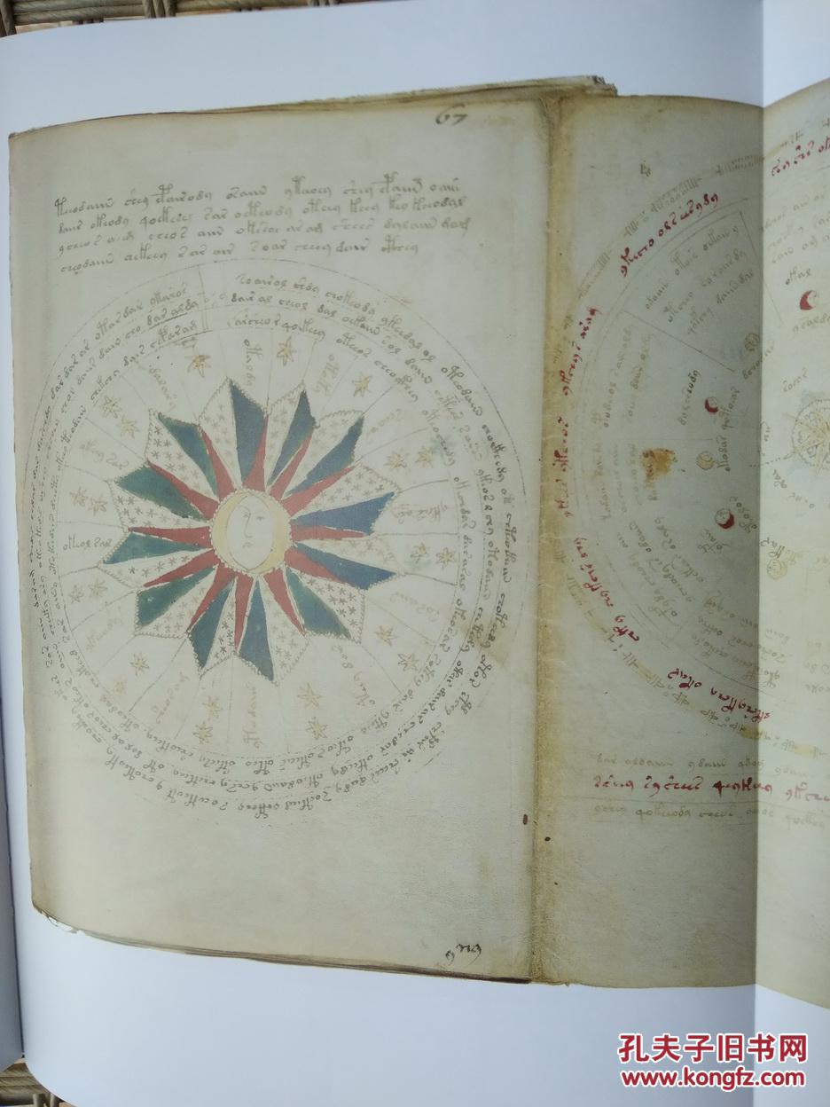 the voynich manuscript 伏尼契手稿 著名的神秘天书