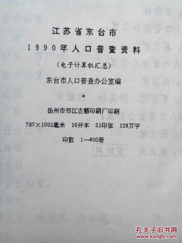 人口普查电子档怎么汇总_人口普查(3)