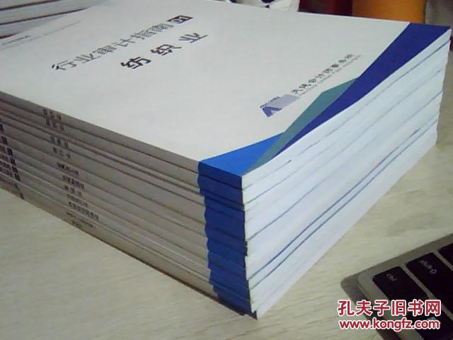 业审计指南 1-13,13册合售,天健会计师事务所,