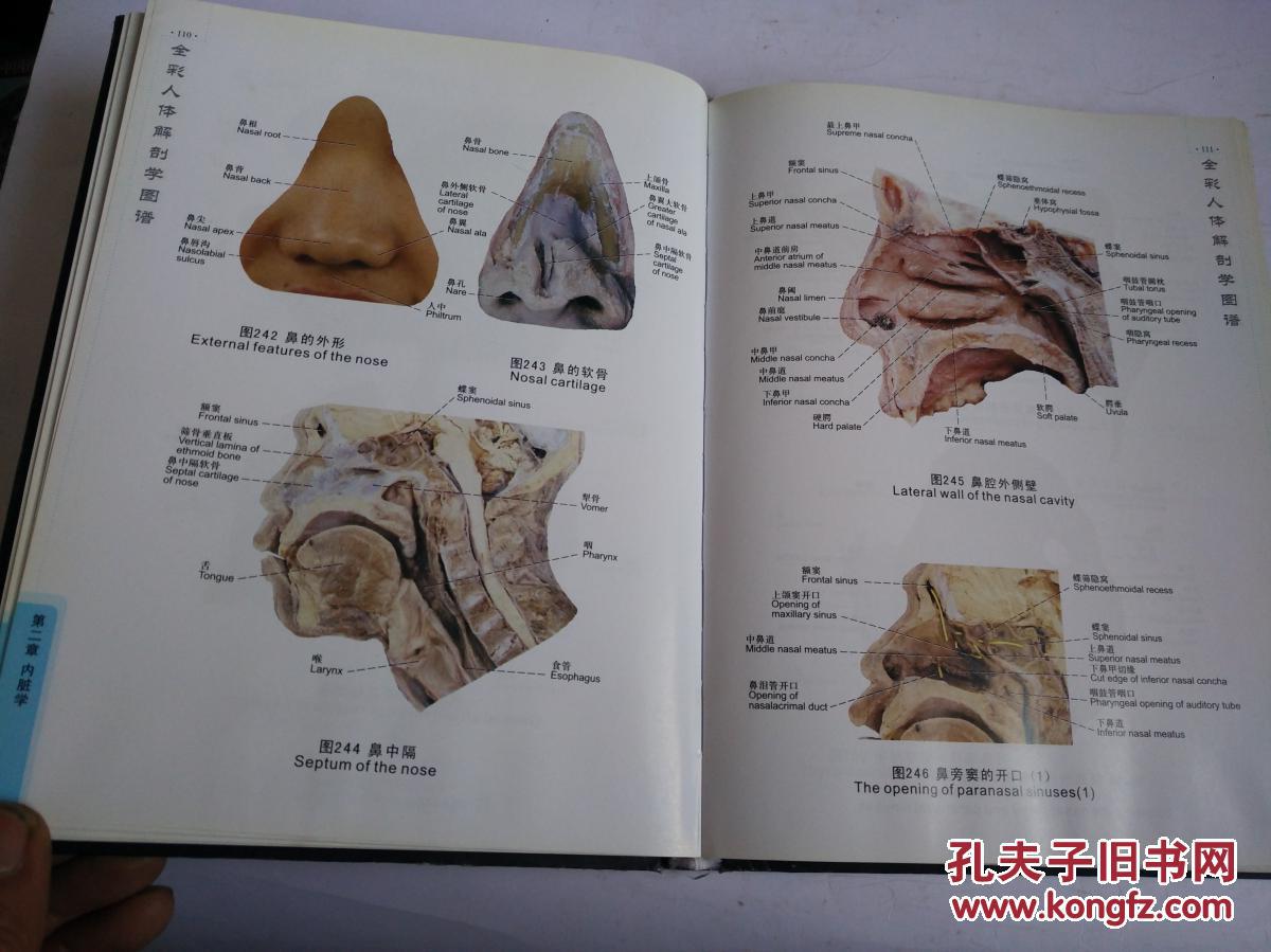 全彩人体解剖学图谱《精装,人体标本解剖图》