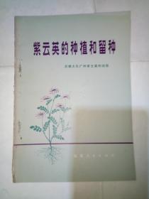 稀缺本：紫云英的种植和留种