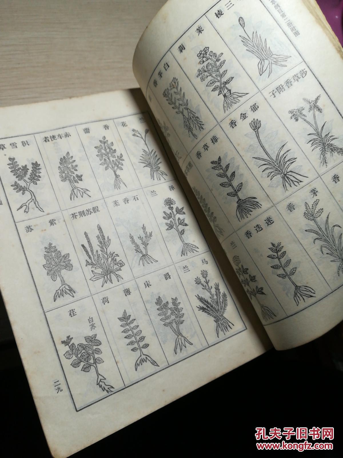 本草纲目 (二册)