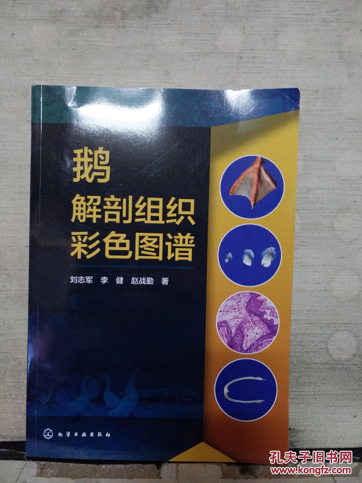 鹅解剖组织彩色图谱20179一版一印