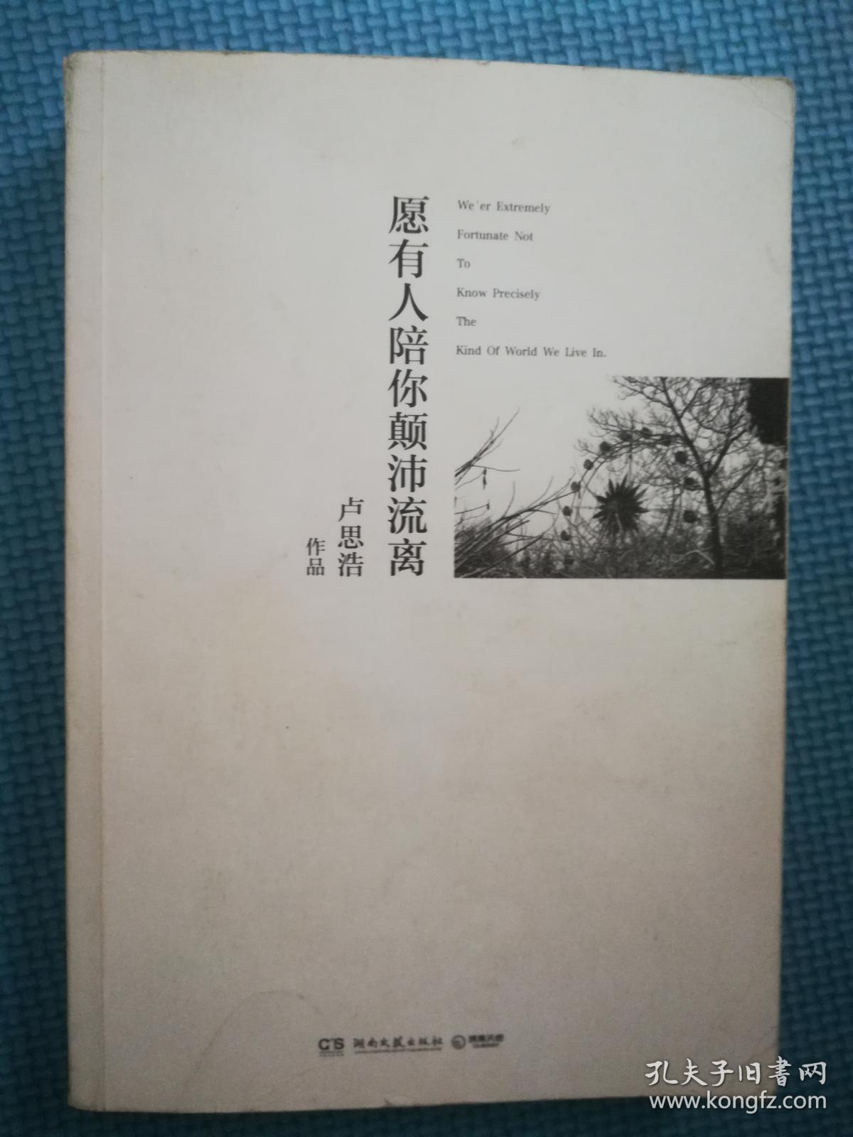 愿有人陪你颠沛流离