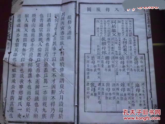 老家谱--《罗氏支谱》沩宁罗氏族谱 民国15年白纸精印