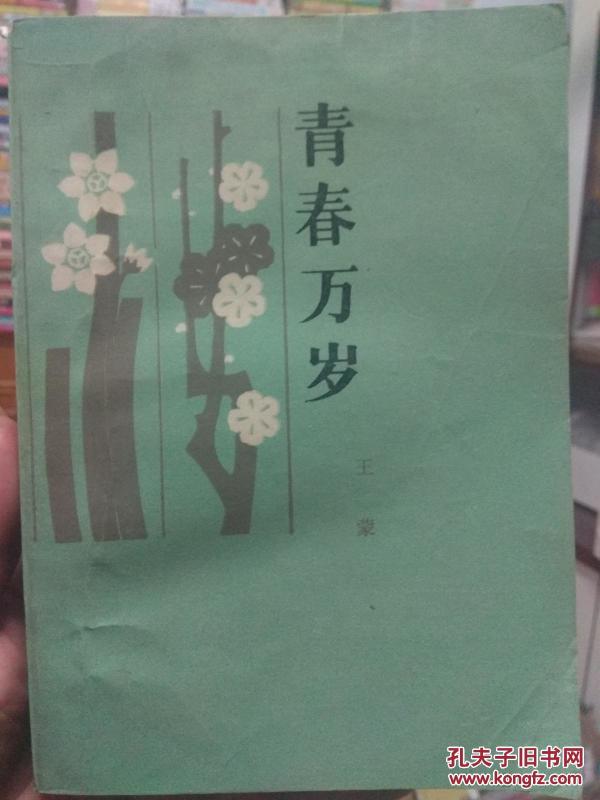 青春万岁 王蒙著_王蒙著