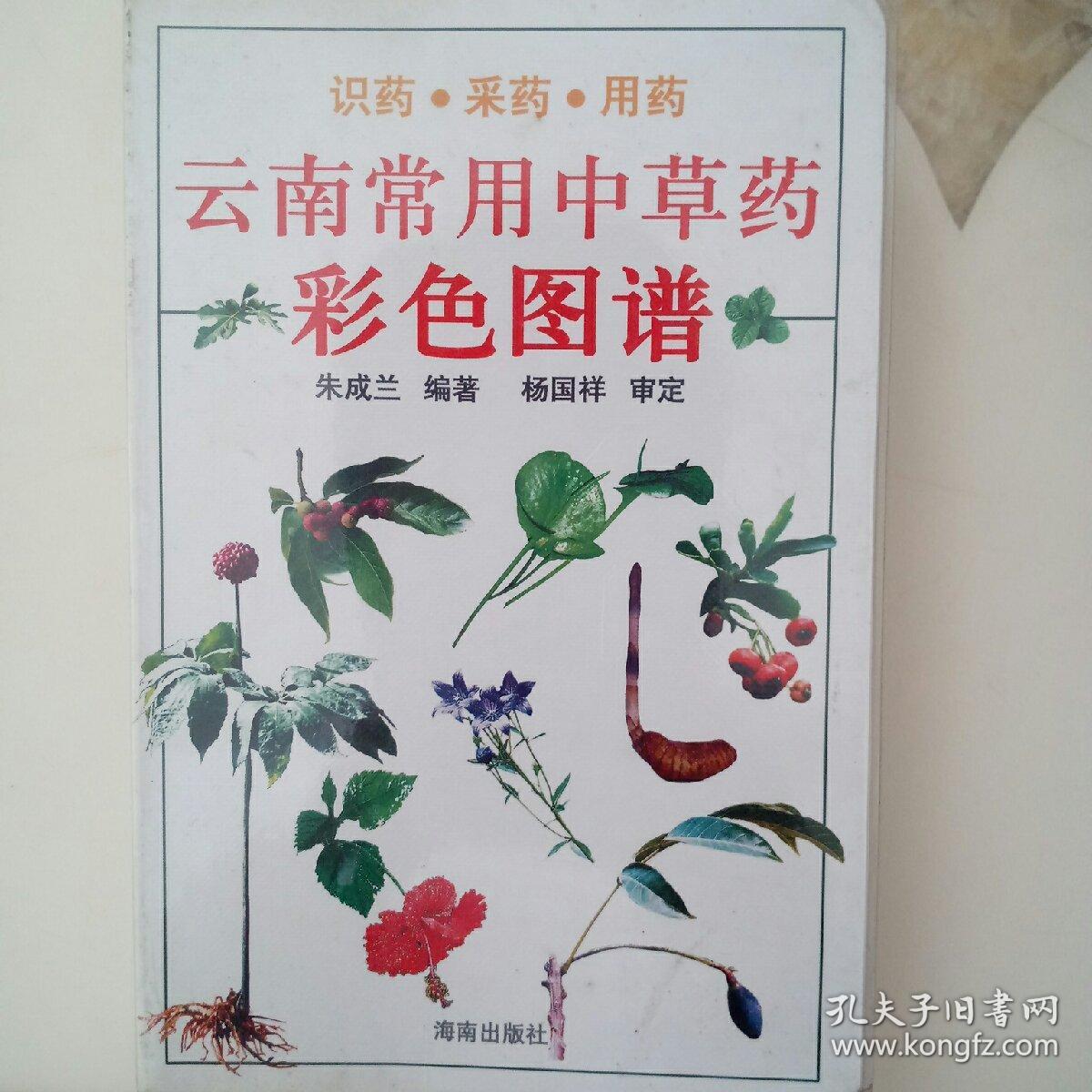 云南常用中草药彩色图谱识药采药用药
