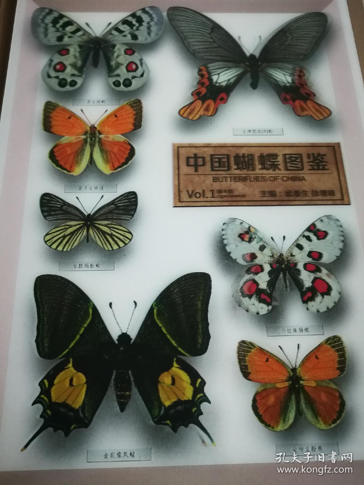 中国蝴蝶图鉴