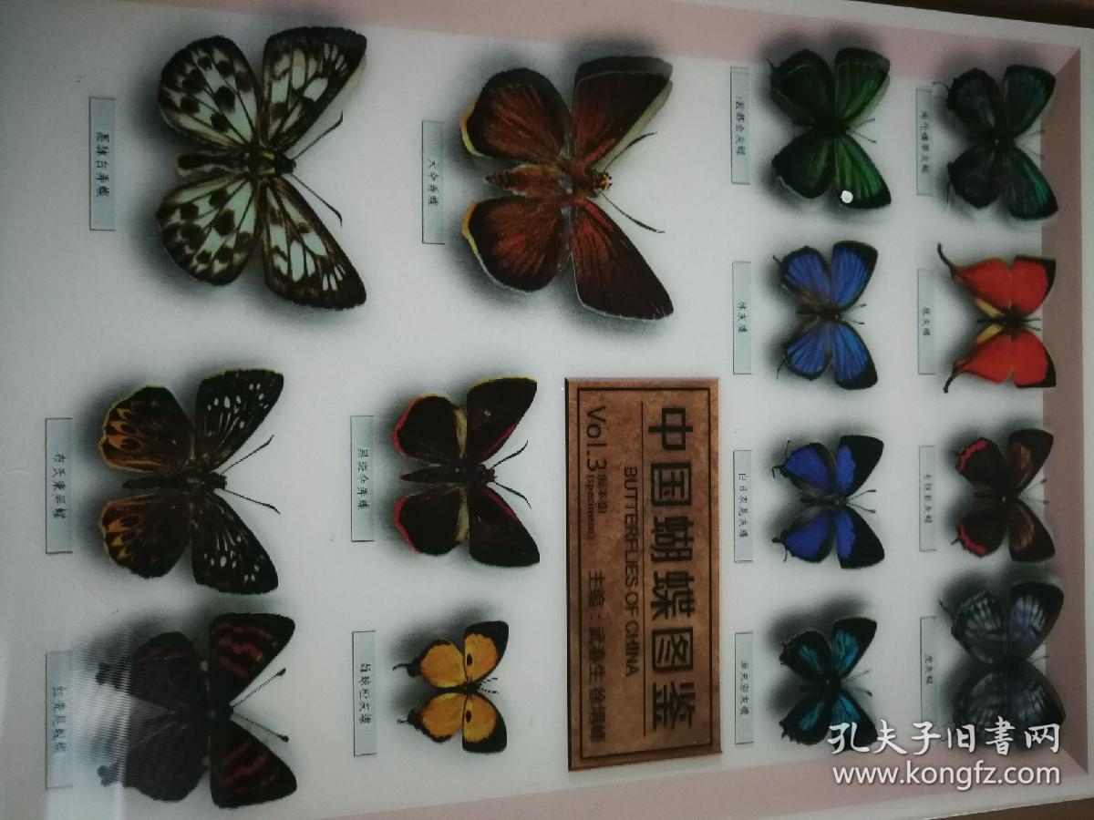 中国蝴蝶图鉴