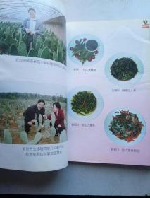 菜用仙人掌种植及食用加工技术--948引进技