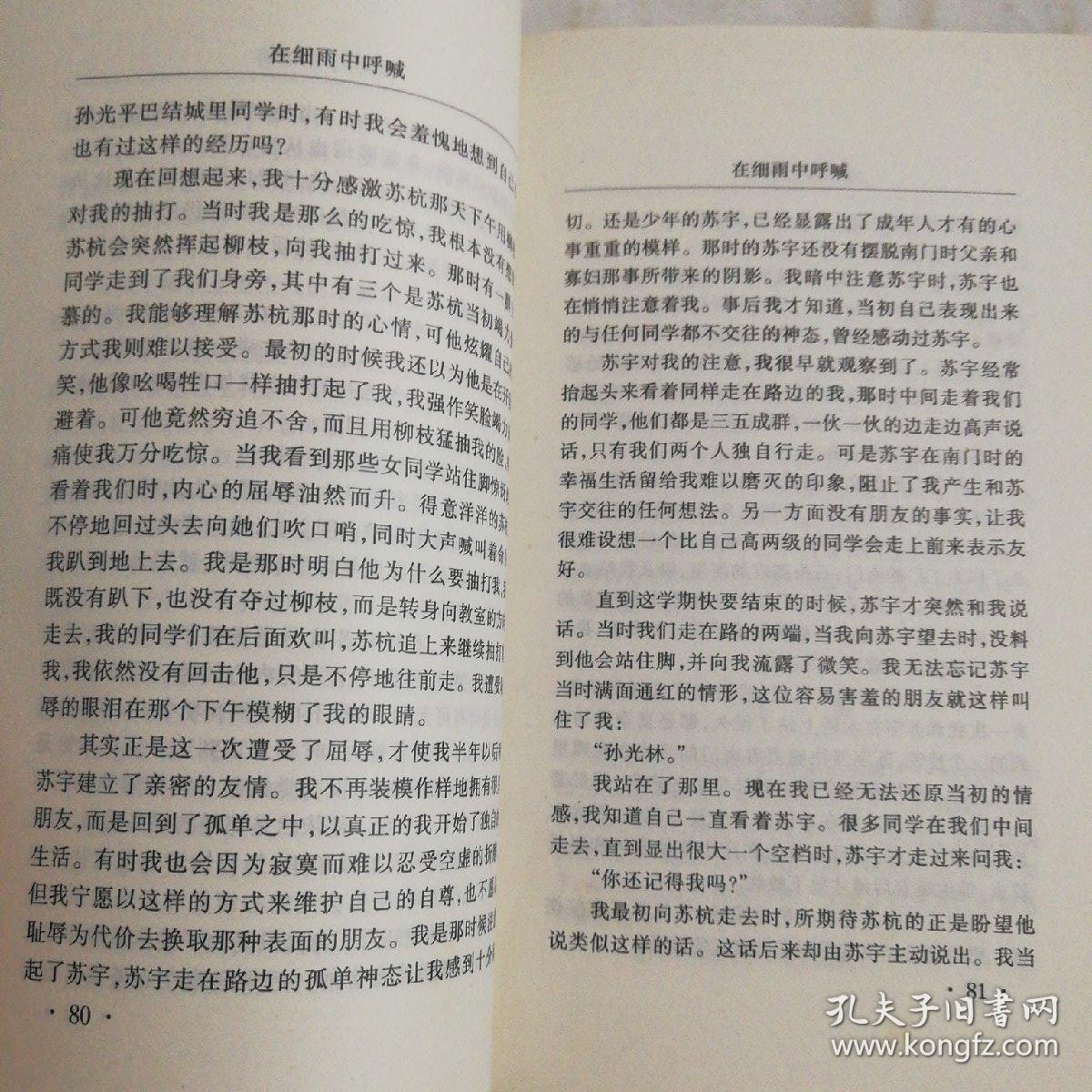 在细雨中呼喊