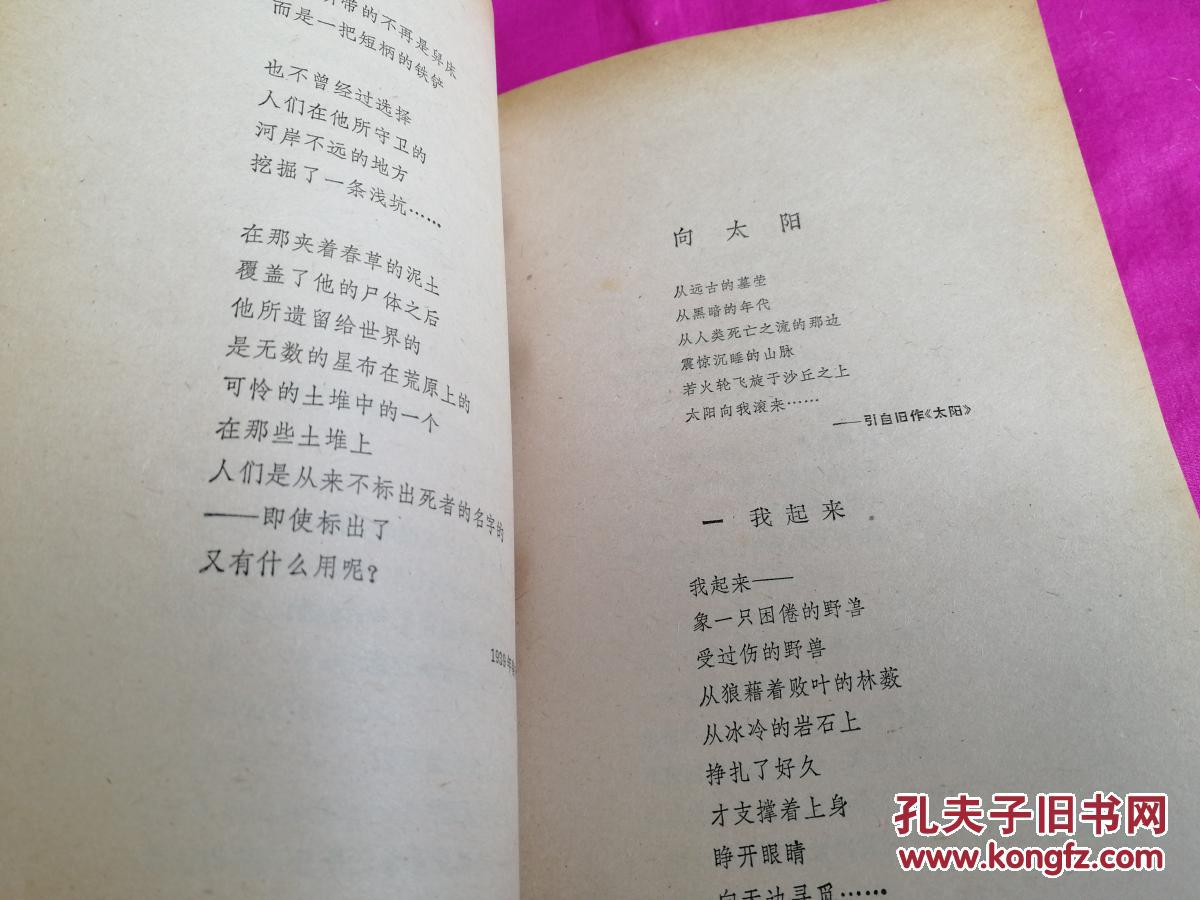 艾青诗选