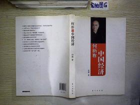 何新看中国经济