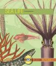 Sea Life (Dover Pictura Electronic Clip Art)