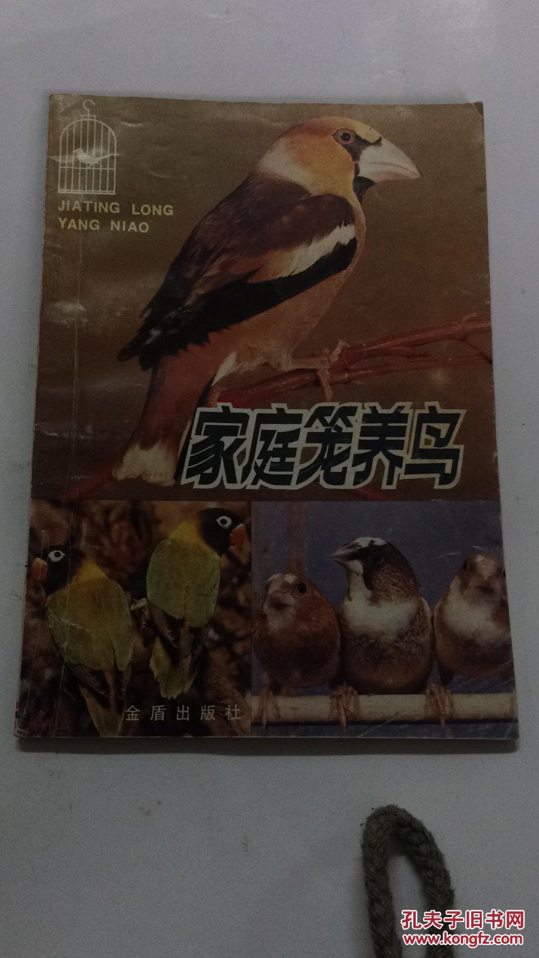 家庭笼养鸟 现货如图