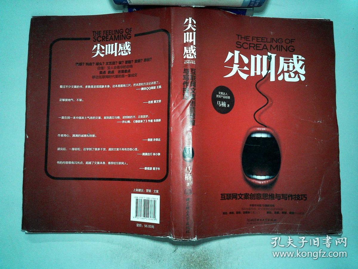 尖叫感:互联网文案创意思维与写作技巧''