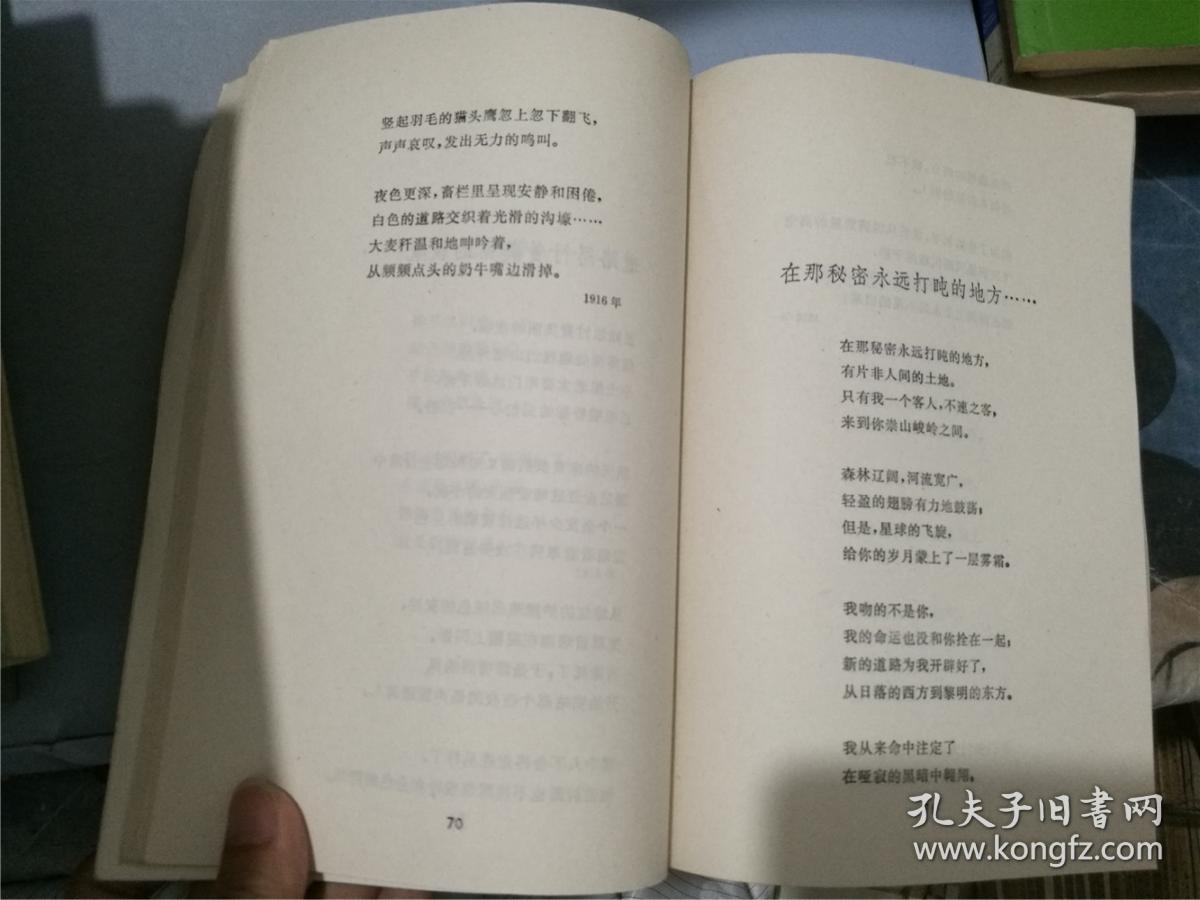 叶赛宁抒情诗选