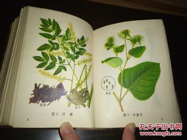 老中草药资料---------《常用中草药图谱》!