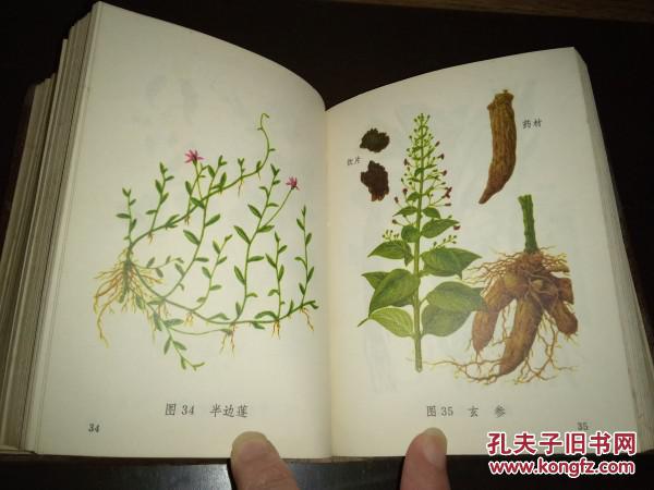 老中草药资料---------《常用中草药图谱》!