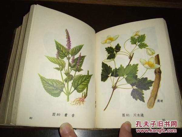 老中草药资料---------《常用中草药图谱》!