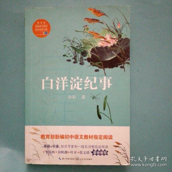 白洋淀纪事(教育部新编语文教材指定阅读书系)