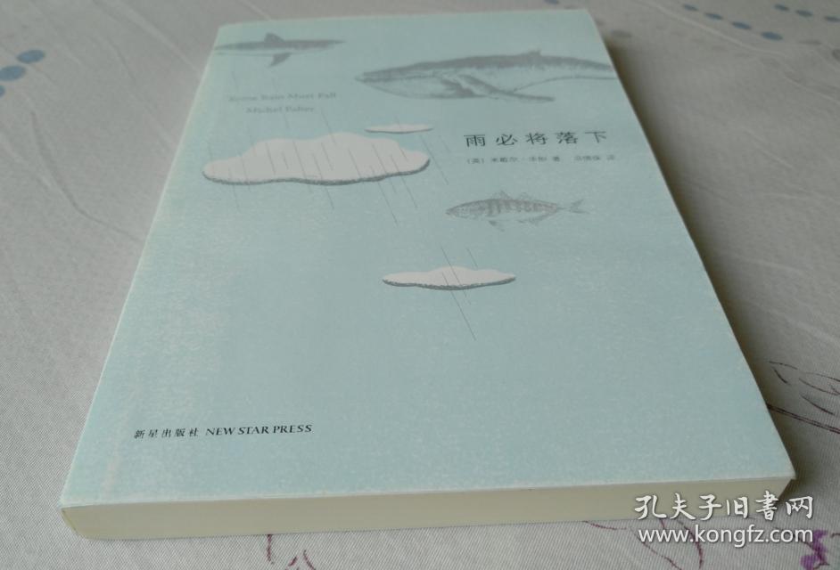 雨必将落下【全新,没有外面书皮(护封),网站规定没有护封的品相标注最
