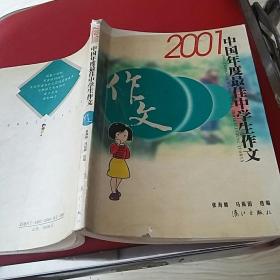 99中国年度最佳中学生作文
