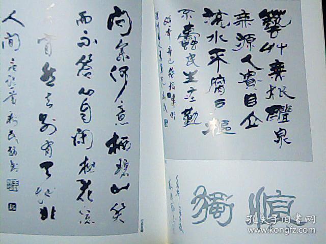 王树民手指书法作品集