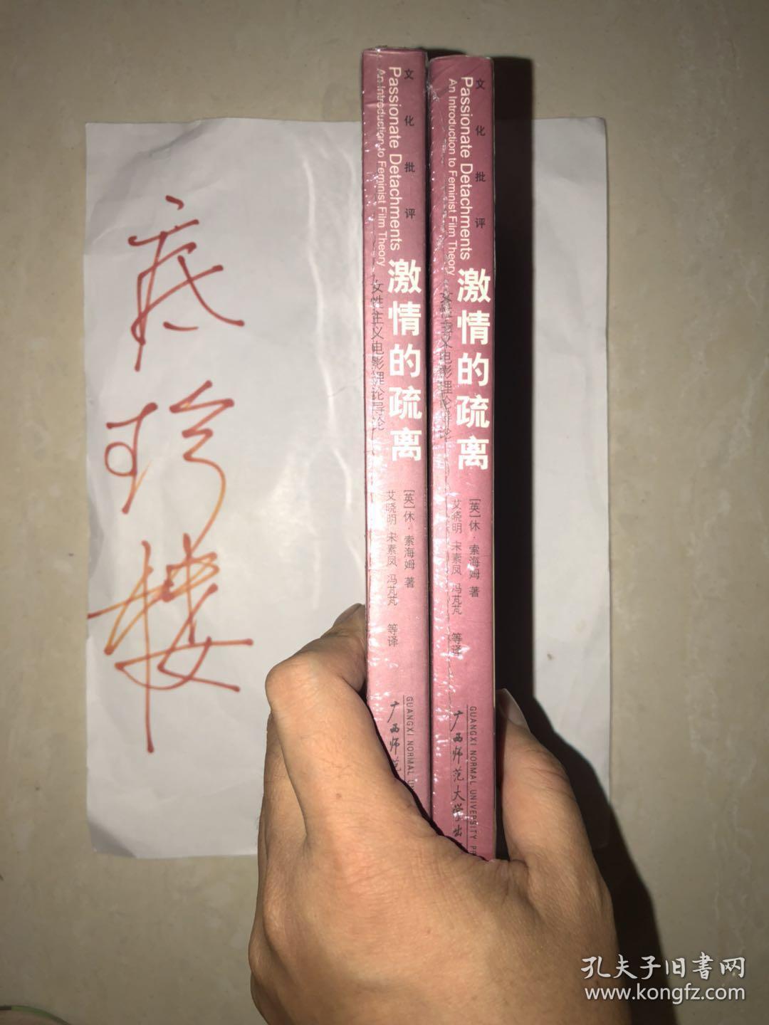 激情的疏离:女性主义电影理论导论