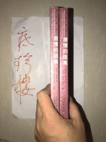 激情的疏离:女性主义电影理论导论