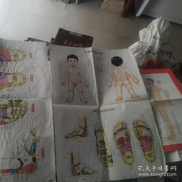 标准针灸经穴挂图说明书中文版,,国家标准经穴部位挂图,标准经穴部位