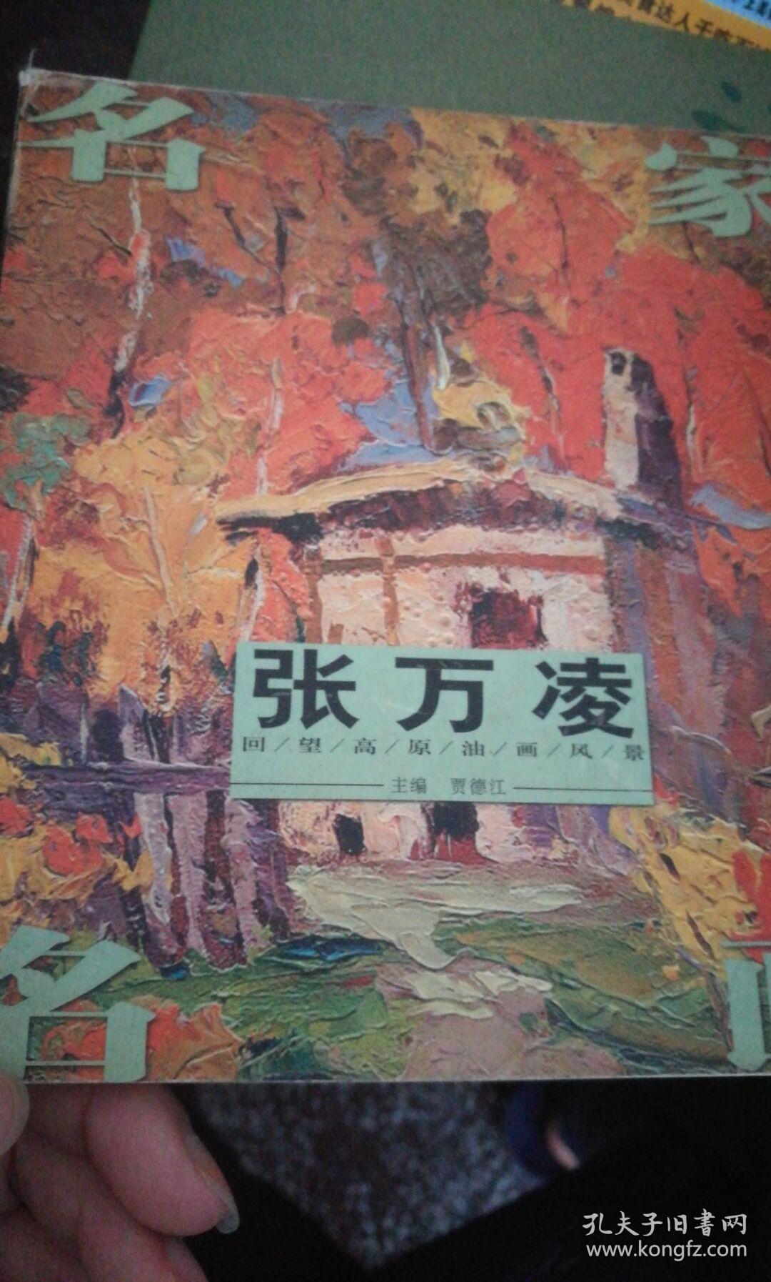 名家名画(张万凌回望高原油画风景.