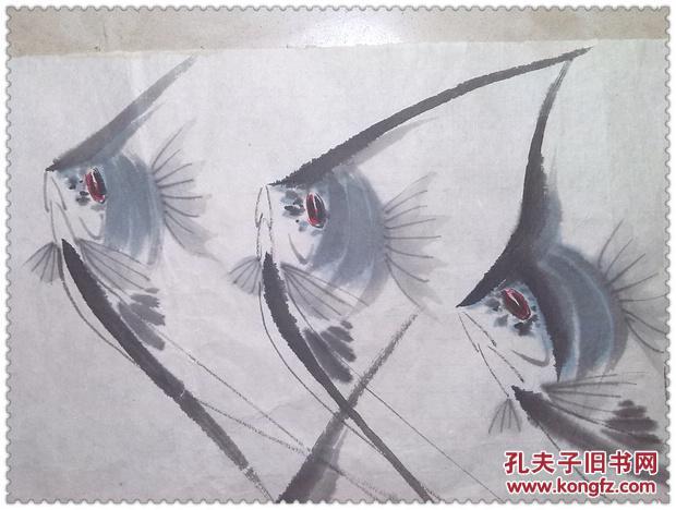精美的八十年代手绘神仙鱼水彩画