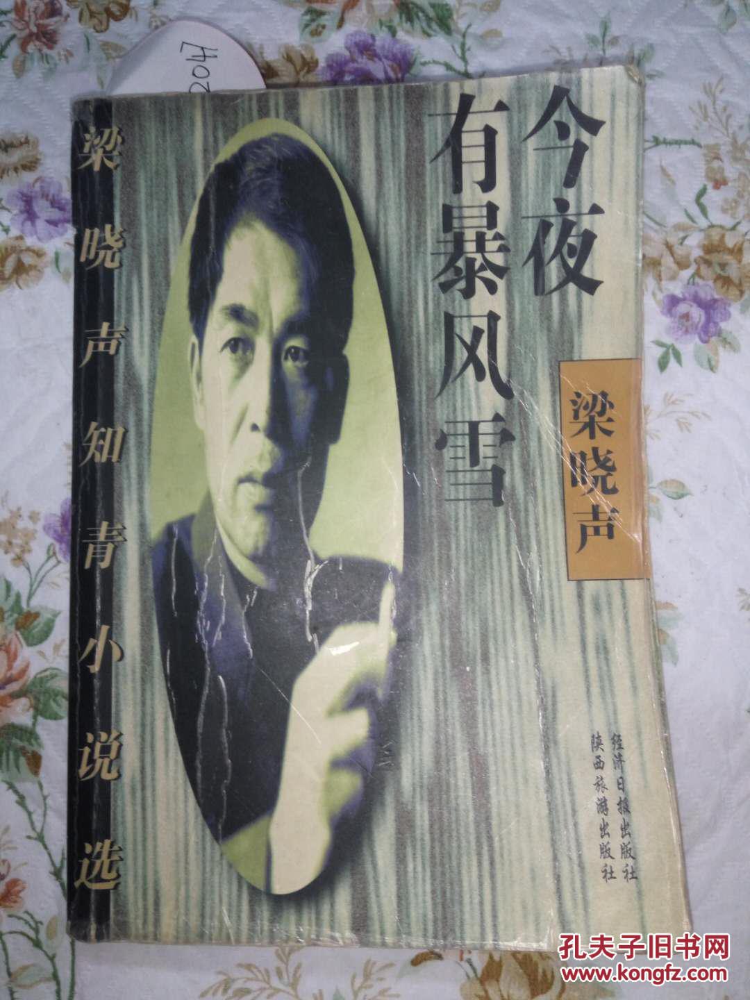 今夜有暴风雪_梁晓声_孔夫子旧书网