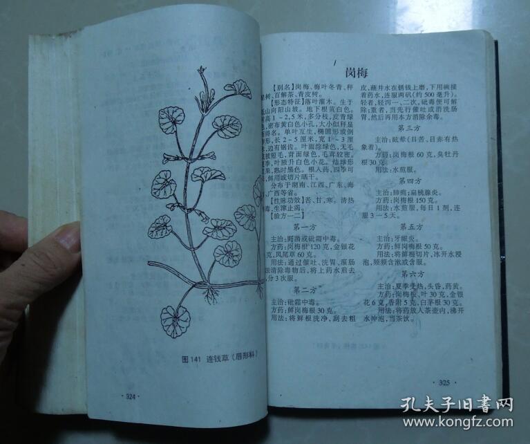 神龙本草经--中国民间百草良方