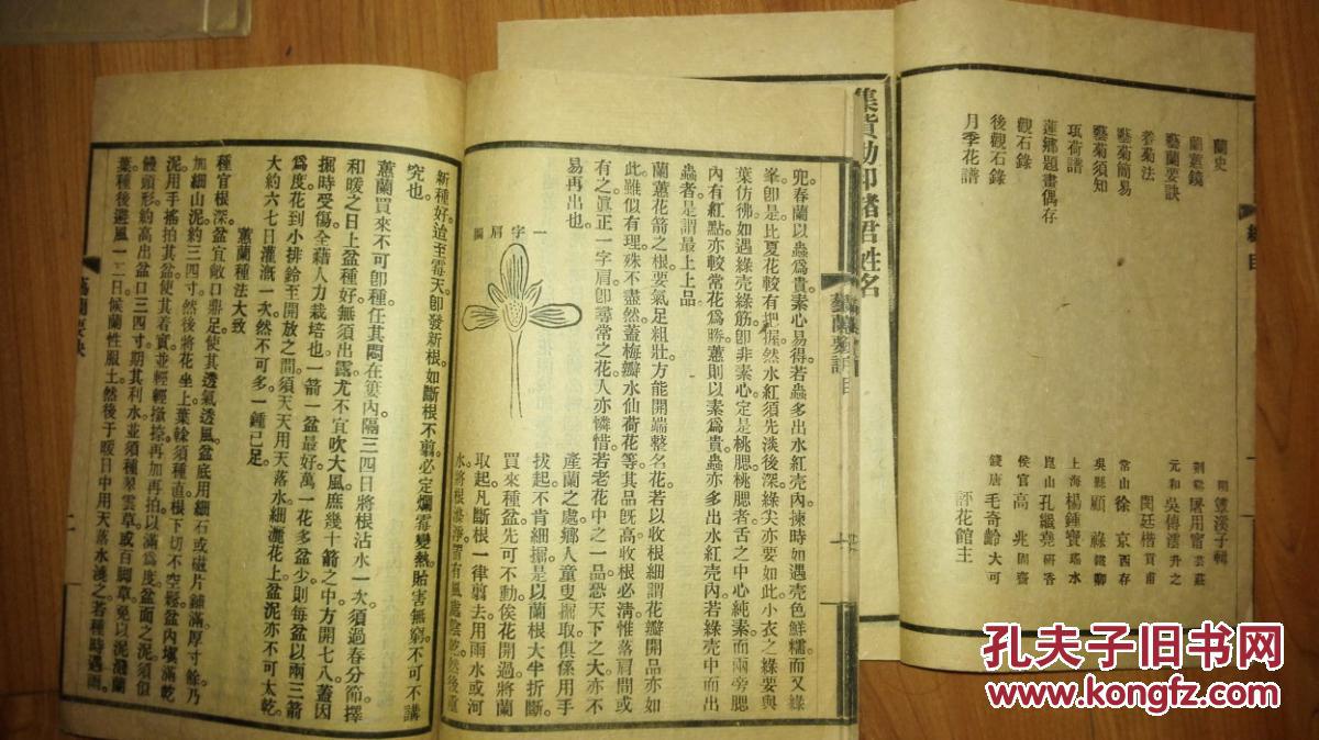 纸砚简谱_画皮简谱纸砚(3)