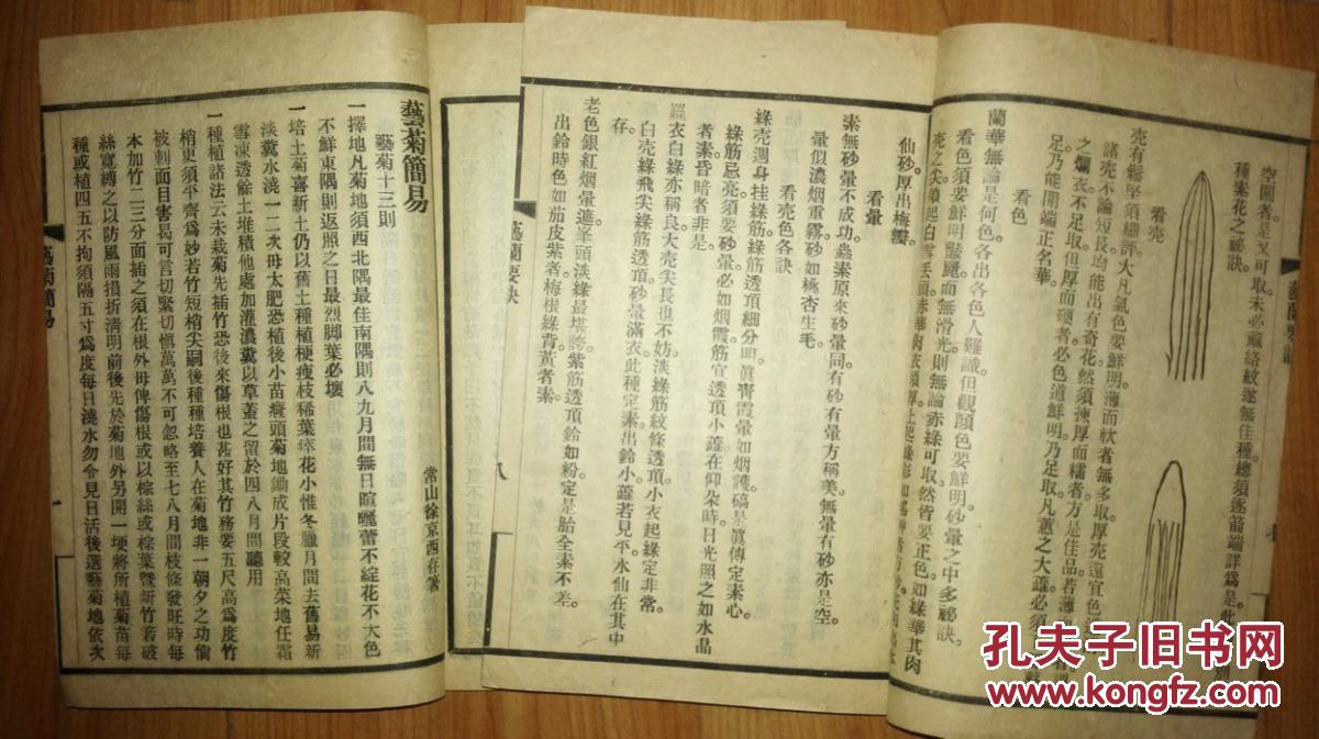 纸砚简谱_画皮简谱纸砚(2)