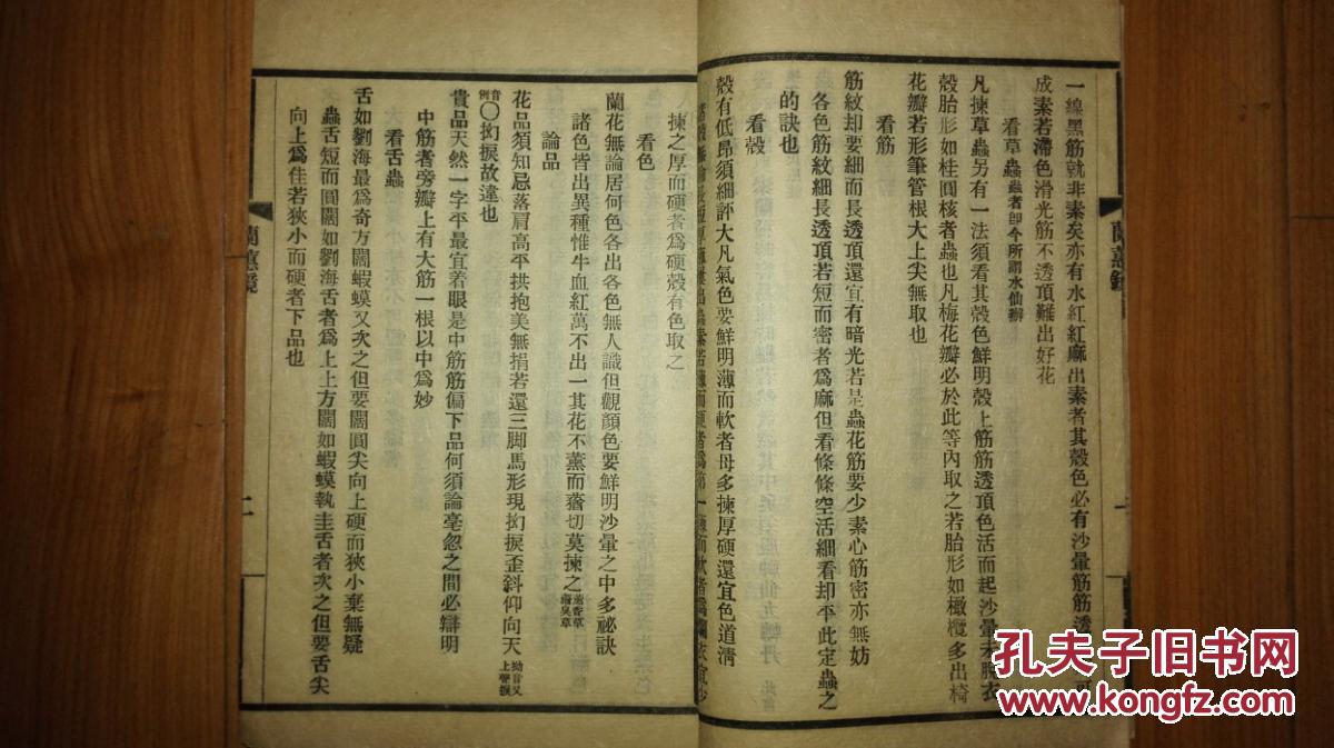 纸砚简谱_画皮简谱纸砚(2)