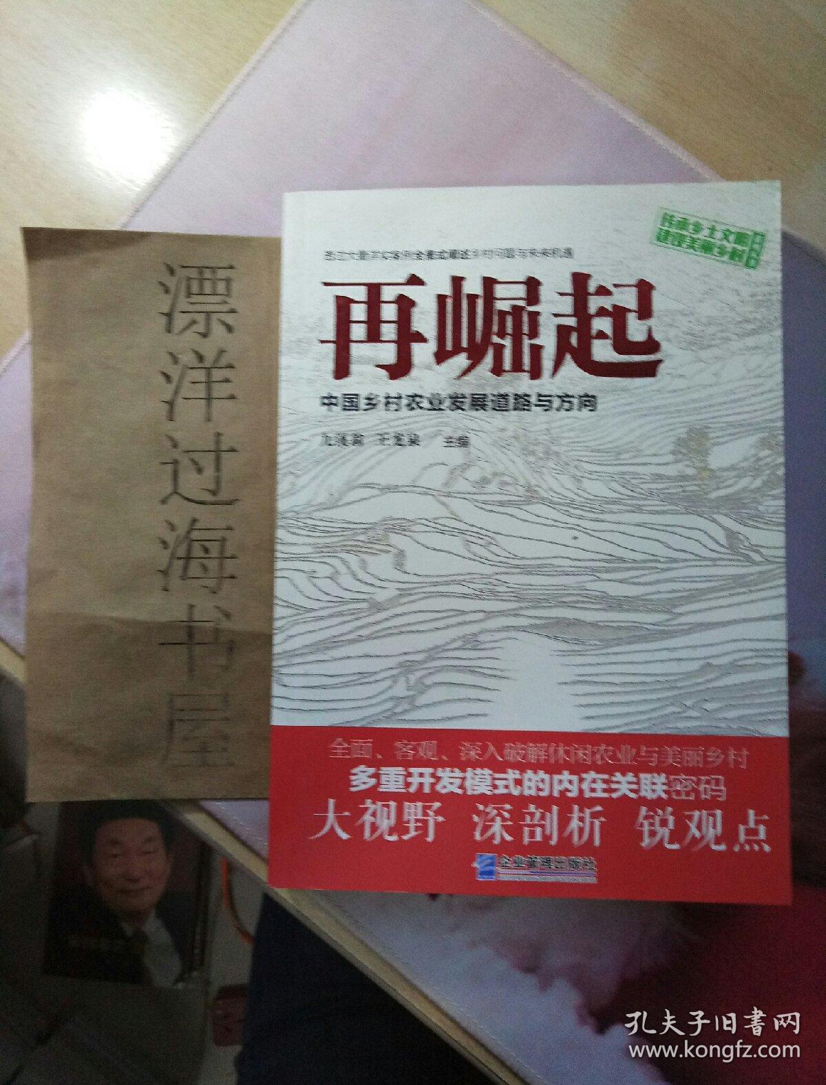 再崛起:中国乡村农业发展道路与方向