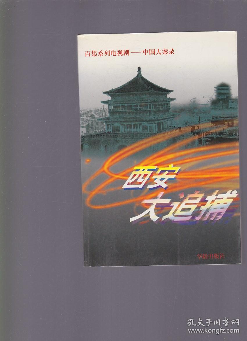 西安大追捕 (西北第一悍匪魏振海,百集系列电视剧-中国大案录)