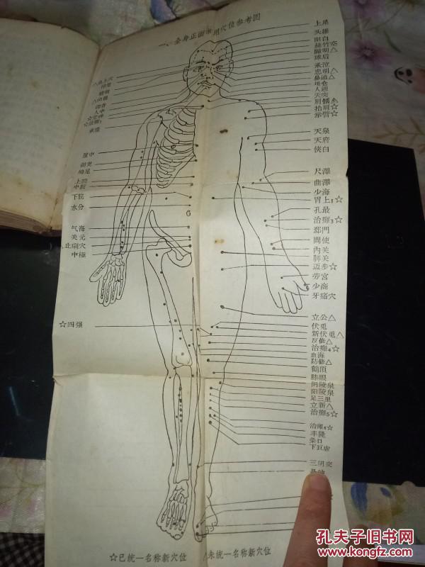 老中医针灸资料-------《新医疗法》!(内介绍新针疗法