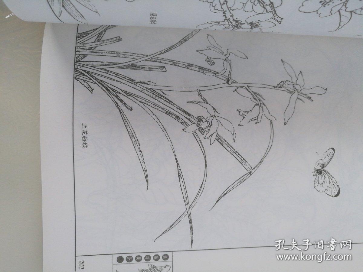 传统花鸟鱼虫图谱