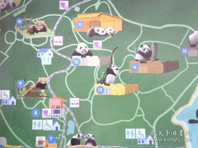 成都大熊猫繁育研究基地导览图 8开独版 英文版 交通路线图 大熊猫各图片